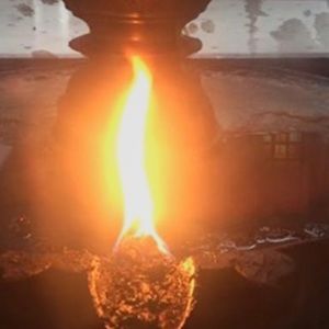 Meet your Posher, Brinda